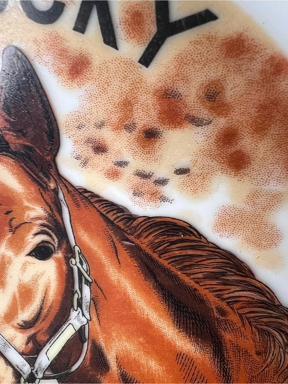Vintage 1980s Kentucky Bluegrass State Horse Souvenir Plate